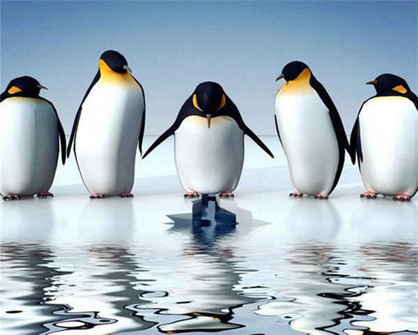Reflection Penguins PIX-459