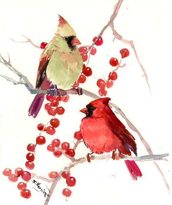 Cardinal Male And Female PIX-536