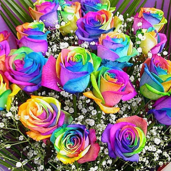 Rainbow Flowers PIX-769